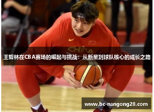 王哲林在CBA赛场的崛起与挑战：从新星到球队核心的成长之路